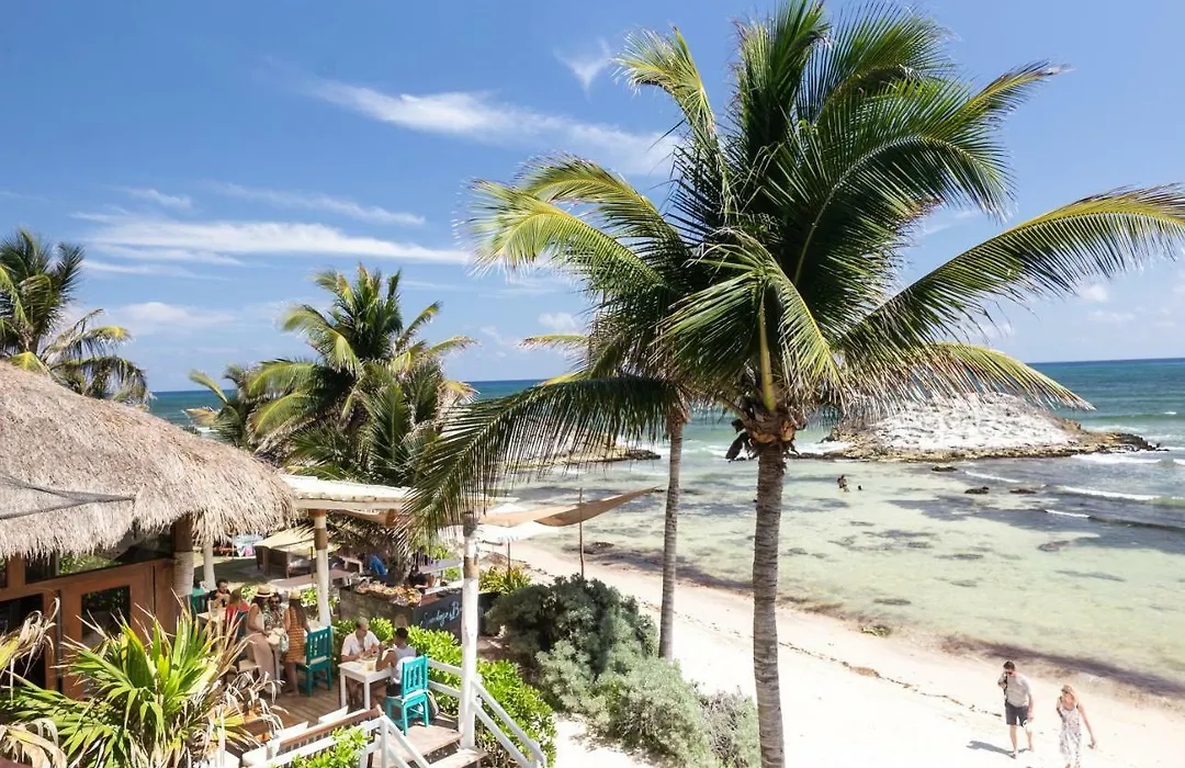 El Pez A Colibri Boutique Hotel-1
