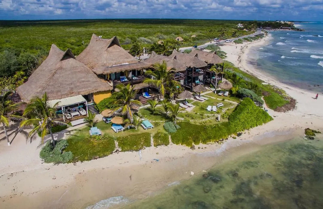 El Pez A Colibri Boutique Hotel-1