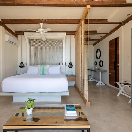 El Pez A Colibri Boutique Hotel-3